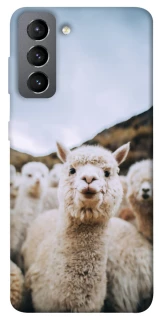 Чохол на Samsung Galaxy S21 FE Лама фото 1 з 1