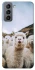 Чохол на Samsung Galaxy S21 FE Лама фото 1 з 1