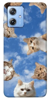 Чехол на Motorola Moto G84 Сats фото 1 из 1