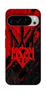 Чохол на Google Pixel 10 Pro Герб v17 фото 1 з 1