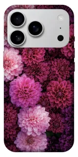 Чохол на Apple iPhone 18 Pro Max Garden1 фото 1 з 1