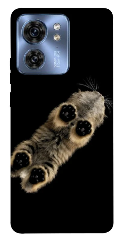 Чехол на Motorola Edge 40 Cat фото 1 из 1