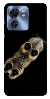 Чехол на Motorola Edge 40 Cat фото 1 из 1