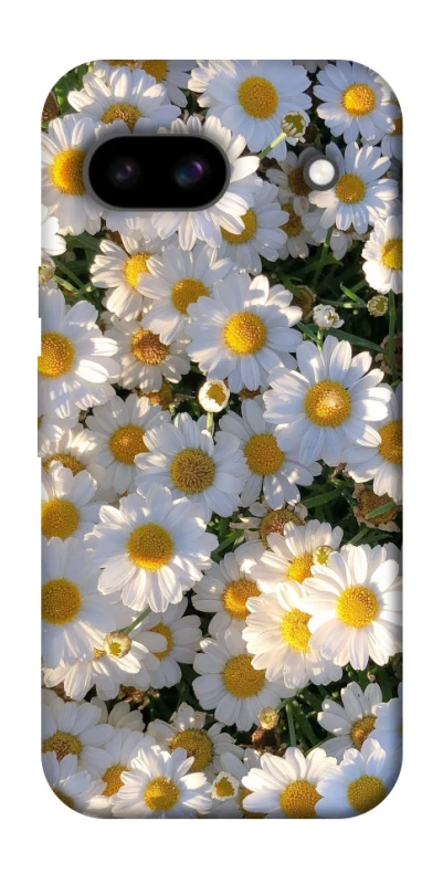 Чохол на Google Pixel 8a Поле ромашок фото 1 з 1