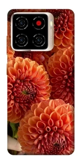 Чохол на ZTE Blade A56 Flower1 фото 1 з 1