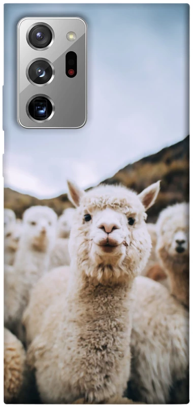 Чехол на Samsung Galaxy Note 20 Ultra Лама фото 1 из 1