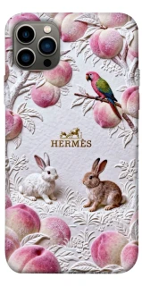 Чехол на Apple iPhone 12 Pro (6.1") Hermes фото 1 из 1