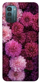 Чехол на Nokia G21 Garden1 фото 1 из 1