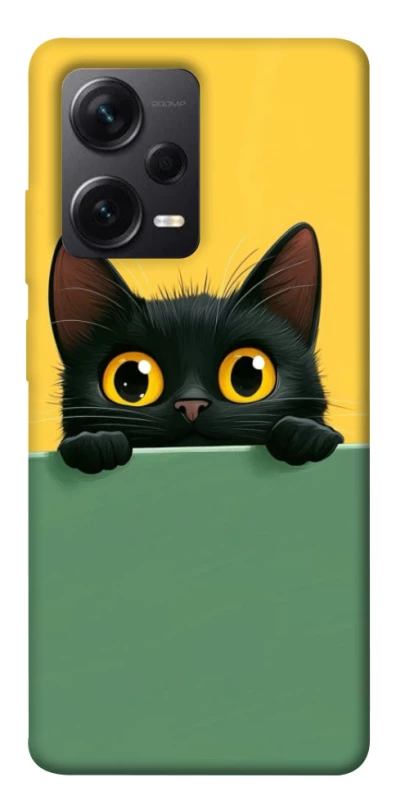 Чохол на Xiaomi Redmi Note 12 Pro 5G Black cat v2 фото 1 з 1
