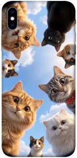 Чехол на Apple iPhone XS Max (6.5") Cats фото 1 из 1