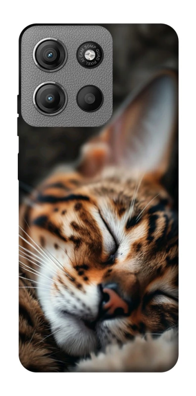 Чохол на Motorola Moto G15 4G Cat paws фото 1 з 1