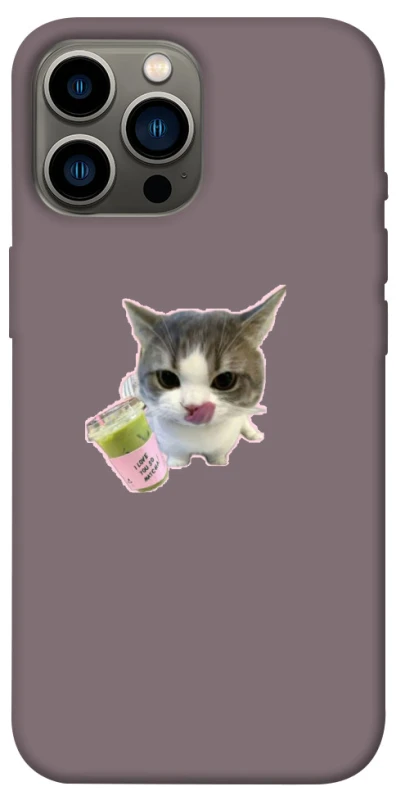 Чехол на Apple iPhone 12 Pro Max (6.7") cat matcha фото 1 из 1