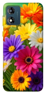 Чохол на Motorola Moto E13 Flowers v32 фото 1 з 1