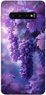 Чохол на Samsung Galaxy S10+ Bunch of grapes фото 1 з 1