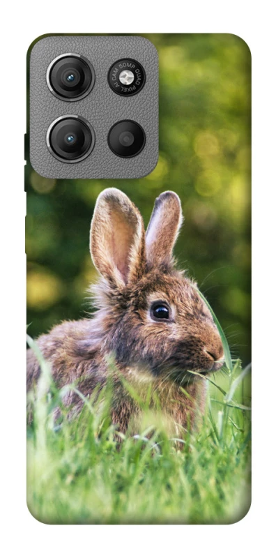 Чехол на Motorola Moto G15 4G Кролики фото 1 из 1