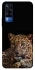 Чохол на Vivo Y51a Leopard v4 фото 1 з 1