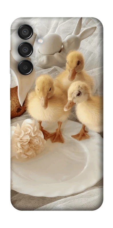 Чохол на Samsung Galaxy M15 5G Easter Vibes фото 1 з 1