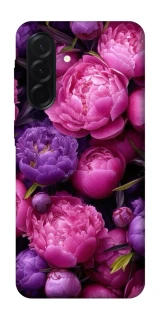 Чехол на Samsung Galaxy A37 5G Garden2 фото 1 из 1