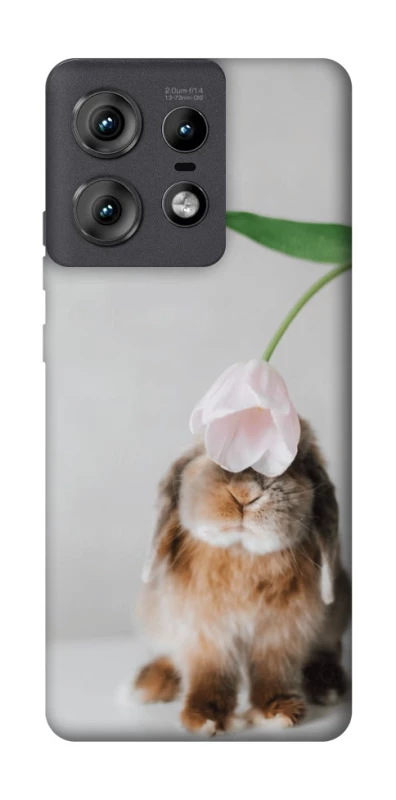Чохол на Motorola Edge 50 Pro Bunny фото 1 з 1