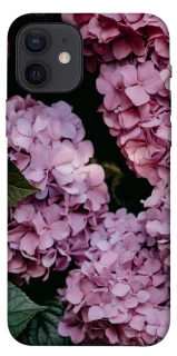 Чохол на Apple iPhone 12 (6.1") Рожеві гартензії фото 1 з 1