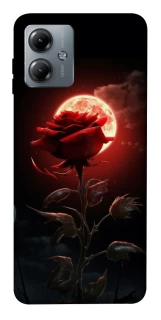 Чехол на Motorola Moto G14 Красная роза фото 1 из 1