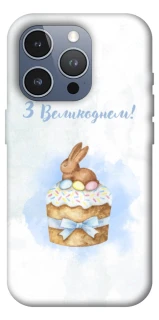 Чехол на Apple iPhone 16 Pro Max Easter ver.8 фото 1 из 1