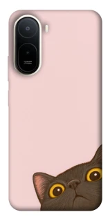 Чохол на Xiaomi Redmi A7 Pro 4G Peeping cat фото 1 з 2