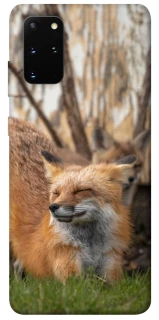 Чехол на Samsung Galaxy S20+ Лиса фото 1 из 1