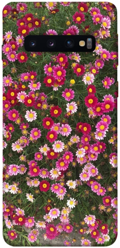 Чохол на Samsung Galaxy S10 Flowers v8 фото 1 з 1