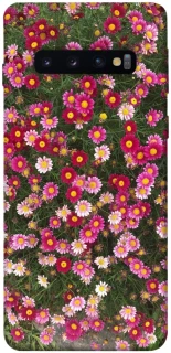 Чехол на Samsung Galaxy S10 Flowers v8 фото 1 из 1