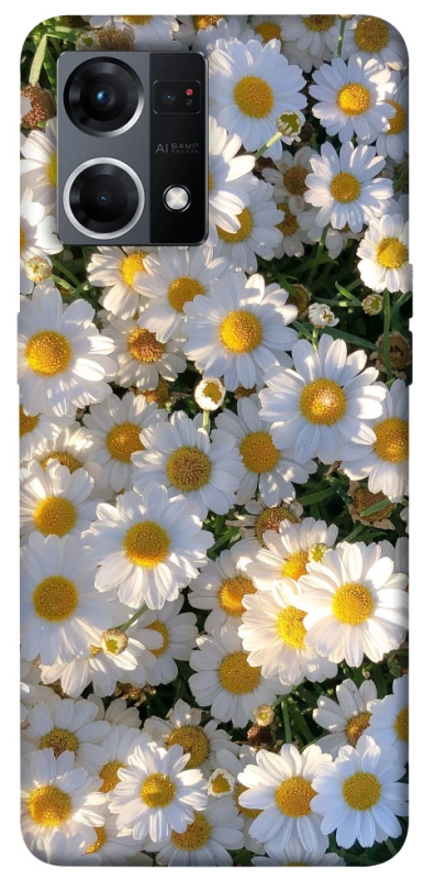 Чехол на Oppo Reno 7 4G Поле ромашек фото 1 из 1