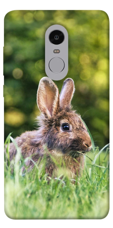 Чохол на Xiaomi Redmi Note 4X / Note 4 (Snapdragon) Кролики фото 1 з 1