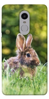 Чохол на Xiaomi Redmi Note 4X / Note 4 (Snapdragon) Кролики фото 1 з 1