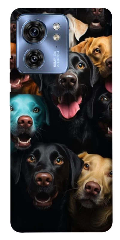 Чохол на Motorola Edge 40 Собаки фото 1 з 1