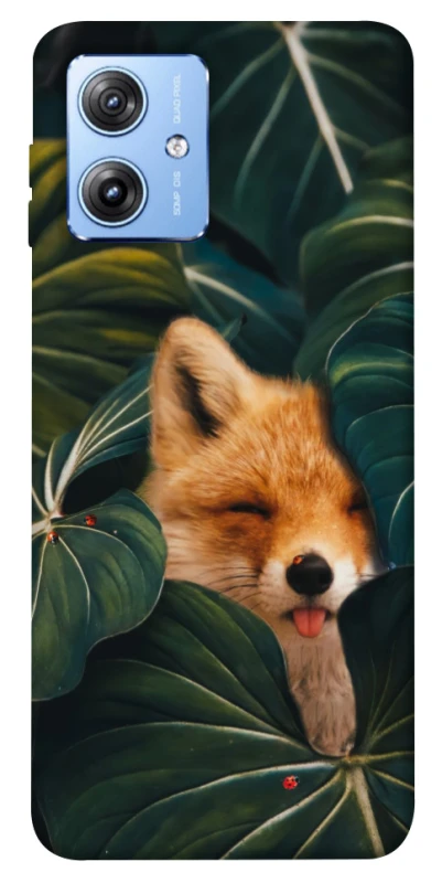Чохол на Motorola Moto G84 Fox фото 1 з 1