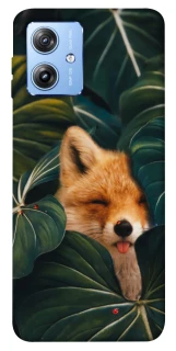 Чохол на Motorola Moto G84 Fox фото 1 з 1