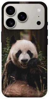 Чехол на Apple iPhone 17 Pro (6.3") Панда фото 1 из 1
