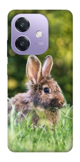 Чехол на Oppo A3 4G Кролики фото 1 из 1