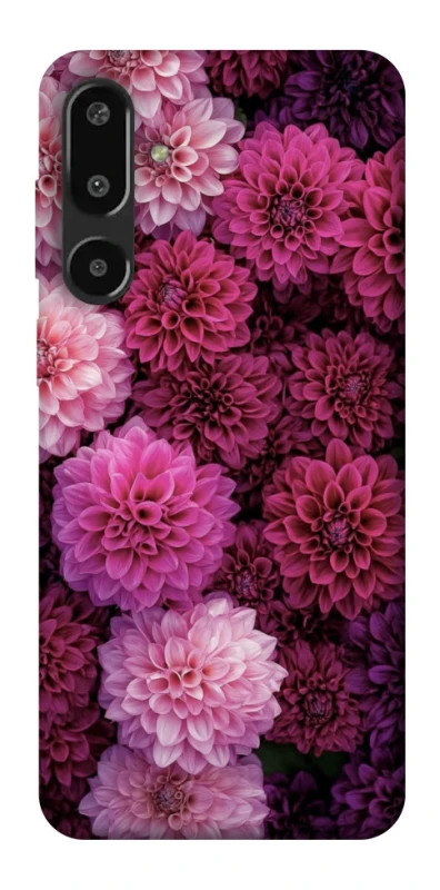 Чохол на Samsung Galaxy F16 Garden1 фото 1 з 1