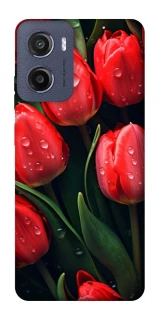 Чехол на Motorola Moto E15 Красные тюльпаны фото 1 из 1