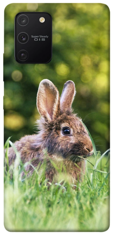 Чехол на Samsung Galaxy S10 Lite Кролики фото 1 из 1