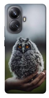 Чехол на Realme 10 Pro+ Совёнок фото 1 из 1