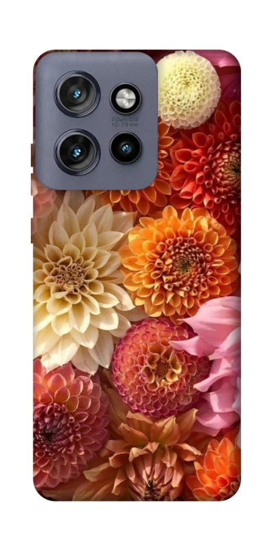 Чохол на Motorola Edge 50 Neo Bouquet фото 1 з 1