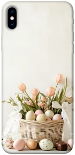 Чехол на Apple iPhone XS Max (6.5") Easter ver.4 фото 1 из 1