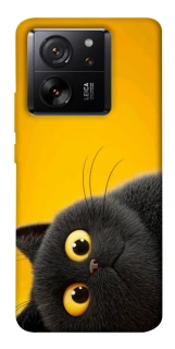 Чехол на Xiaomi 13T This is Cat фото 1 из 1
