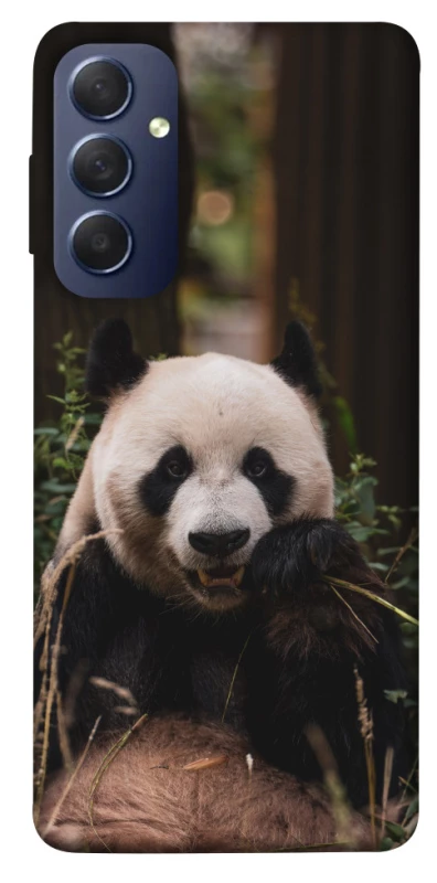 Чехол на Samsung Galaxy M54 5G Панда фото 1 из 1