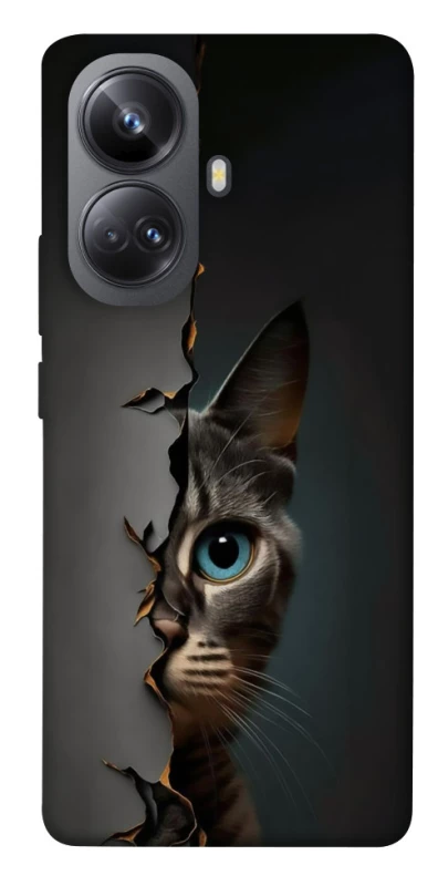 Чехол на Realme 10 Pro+ Кот-подглядыватель v2 фото 1 из 1