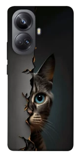 Чехол на Realme 10 Pro+ Кот-подглядыватель v2 фото 1 из 1