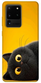 Чохол на Samsung Galaxy S20 Ultra This is Cat фото 1 з 1