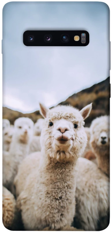 Чохол на Samsung Galaxy S10+ Лама фото 1 з 1